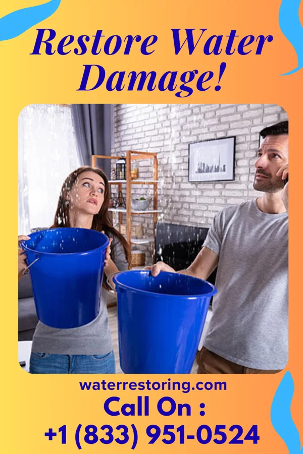 water restoration Royal Water Damage & Associates Wilberforce